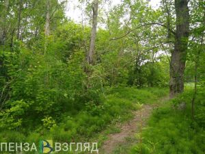 В Пензенской области в пожароопасный период произошло 13 возгораний