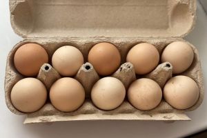 Цены на куриные яйца и картофель изменились: Росстат опубликовал данные