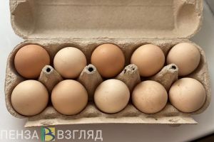 В Пензенской области увеличилось производство яиц