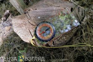 В Пензенском районе пенсионер ушел в лес и не вернулся
