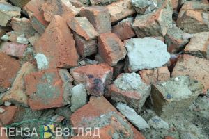 Суд: женщина ударила полицейского кирпичом в Спасске