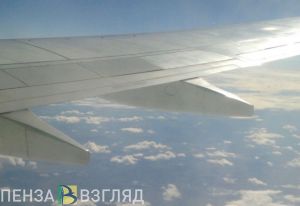 Боинг «Пенза» не смог приземлиться с первого раза из-за птиц на полосе