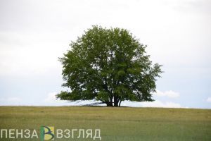 Жительница Заречного вошла в число призеров премии Росприроднадзора
