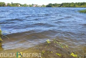 В Пензенской области из Сурского водохранилища спасли 6-летнего ребенка