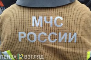 За неделю в пожарах на территории Пензенской области погибли 2 человека