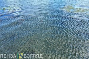 Елена Столярова прокомментировала два происшествия с детьми в Пензенской области