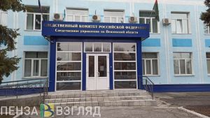 СК проводит проверку по факту падения девочки с 4 этажа в Пензе