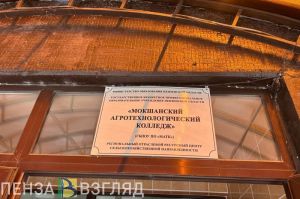 На ремонт кровли общежития мокшанского колледжа выделено 7,2 млн рублей