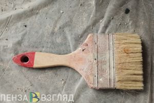 На ремонт дома-интерната для престарелых в Пензе готовы направить 8,2 млн руб.