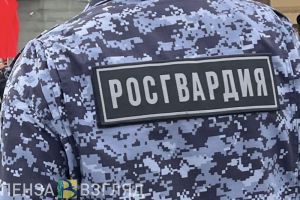 С начала года пензенские росгвардейцы задержали 19 лиц, находящихся в розыске