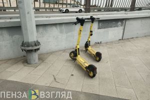 Бастрыкин поручил проверить факт травмирования девочки электросамокатом в Пензе