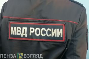 УМВД: мечтавший об интим-услугах пензенец лишился более 200 тысяч рублей