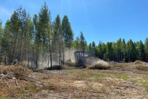 В Пензенской области в 2025 году вовлекли в сельхозоборот 5500 га земли