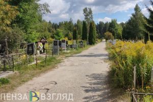 Причины смертности, благоустройство «Семейного», массовые отключения воды - главные новости Пензы и области за 24 июля