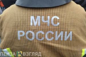 В Земетчинском районе при пожаре спасли 95 телят