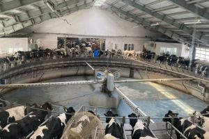 Аграрии Пензенской области получили более 1 млрд рублей господдержки