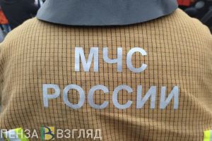 В Пензенской области за неделю утонул один человек