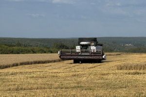 В Пензенской области собрали 1 миллион тонн зерна