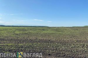 В Пензенской области стартовал отбор получателей бюджетных денег на мелиорацию