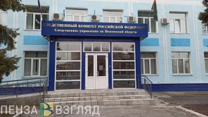 Жителя Пензы задержали за контакты и финансирование нежелательной организации