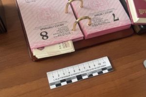 Уголовное дело в отношении Веры Фейгиной возбуждено по 290 статье УК