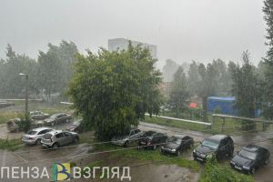 В Кузнецком районе грозовой разряд стал причиной пожара