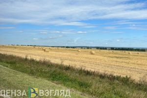 Пензенский Минсельхоз опроверг мнение о хороших урожаях из-за опасных пестицидов