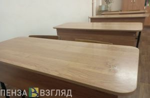 Пензенцам разъяснили, на каких условиях может оказываться помощь школам