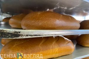 Более 500 пензенцев в 2025 году бесплатно освоят новую профессию