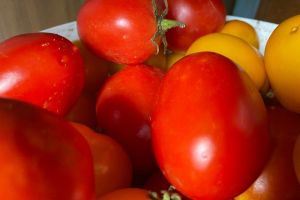 Готовим вкусные помидорки под шашлычок: аппетитная закуска для семейной встречи