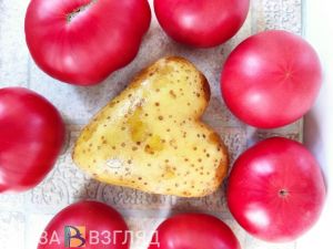 Пензенцы стали есть меньше сладкого и больше овощей
