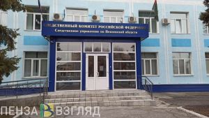 СК проводит проверку по факту гибели малыша в Пензенском районе
