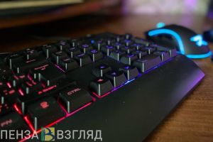 Пензенская область заняла 2 место в России в сфере цифровой трансформации АПК