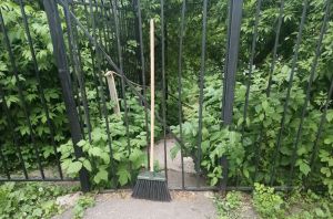 Пензенцам рассказали, должны ли они сдавать деньги на уборку в школе
