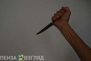 Житель Сердобского района ударил знакомую ножом в спину