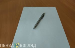Аудитором Счетной палаты Пензенской области намерены назначить Ирину Волгину