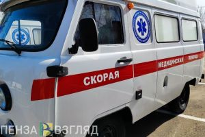 На трассе в Пензенской области погиб водитель мопеда