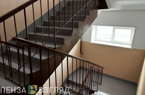 Спасатели помогли медикам попасть в квартиру к пензячке