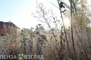 Авария с 5 пострадавшими, найденный в лесу подросток, прогноз погоды на сентябрь - новости Пензы и области за 25 августа