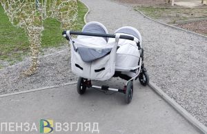 В Пензе к работе приступили первые шесть социальных нянь
