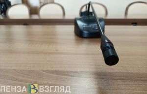 Пензенские НКО могут получить гранты на соцпроекты
