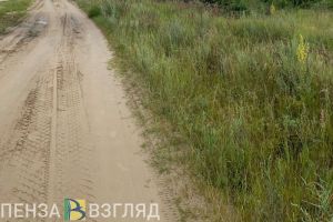 Пензенские родители требуют улучшить состояние дороги к лагерю «Сосновый Бор»