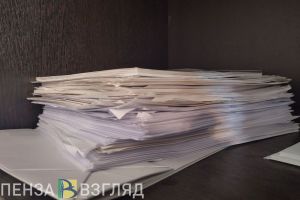 Нарушения коррупционного характера выявлены пензенскими контролерами