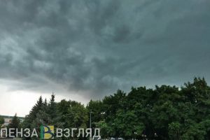 Жителей Пензенской области ждет гроза и +21 градус 28 августа