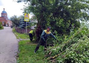В Пензе улучшают видимость дорожных знаков