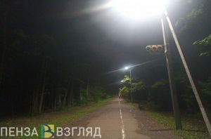 Освещение на Олимпийской аллее в Пензе восстановили