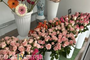 К 1 сентября цены на цветы в Пензенской области могут взлететь на 10%