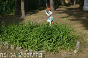 В Пензенской области пресечена деятельность нелегальных детских лагерей