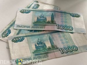 1130 семей в Пензенской области получили остаток материнского капитала