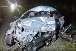 Опубликовано видео с места аварии в Пензенской области, где погибли двое